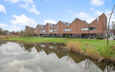 Maneschijn 15