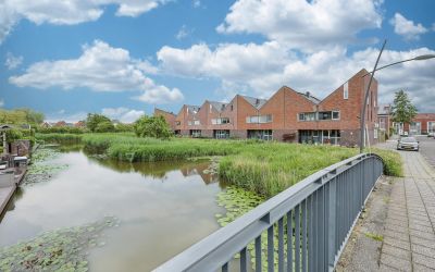 Maneschijn 19