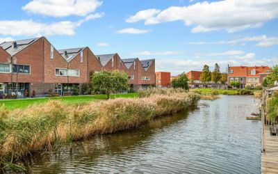 Maneschijn 39