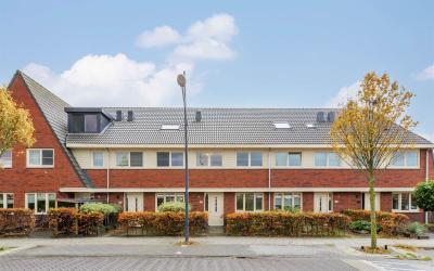 Witte Ring 105