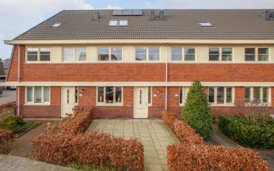 Witte Ring 113