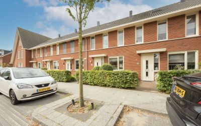 Witte Ring 65