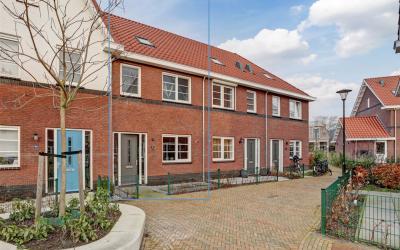 Gouden Buys 12