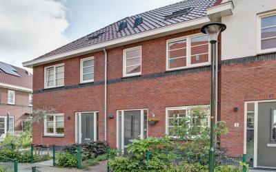 Gouden Buys 4
