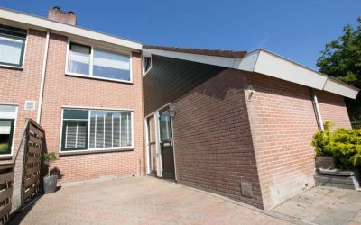 Zanglijster 23