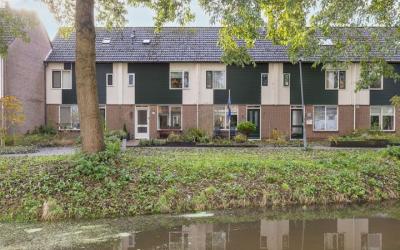 Zanglijster 14