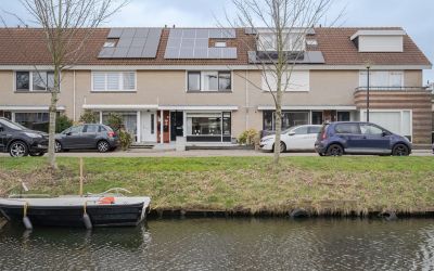 Dotterbloem 6