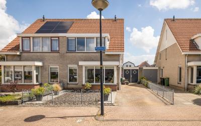 Pijlkruid 30