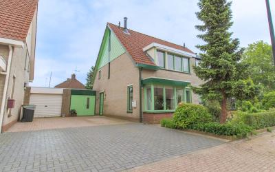 Pijlkruid 4