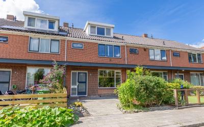 Graaf Wille. 7