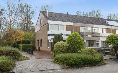 Graaf Wille. 196