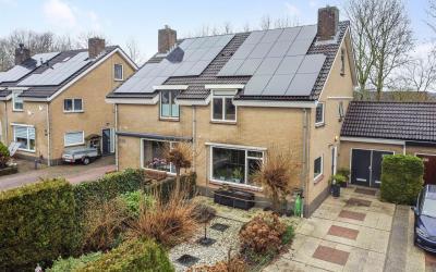 Graaf Wille. 226