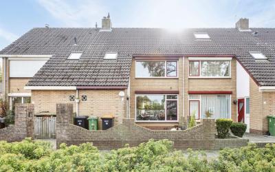 Stetse 3