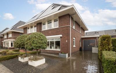Roerdomp 8
