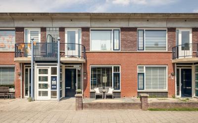 Roodborst 34