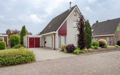 De Koren 8