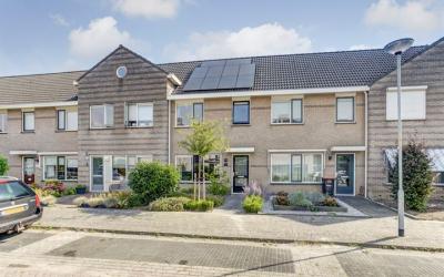 Majoraan 19