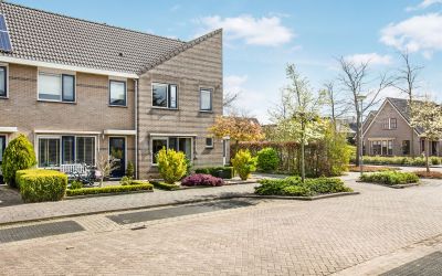 Majoraan 37