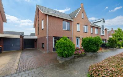 Goudreinet 8
