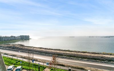 Westerdijk 205
