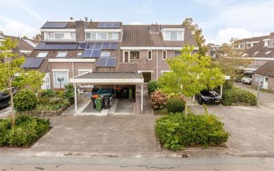 De Vang 24