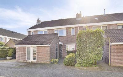Houtzaagmol. 29