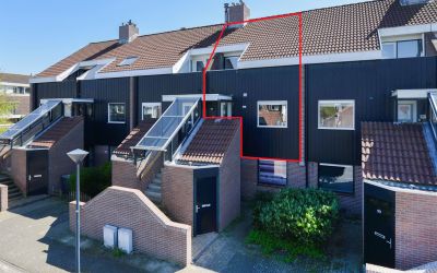 Houtzaagmol. 101