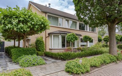 Rotiusstraat 113