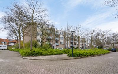 Rotiusstraat 17