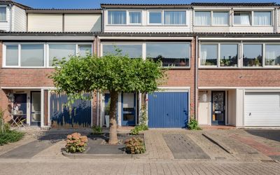 Baljuw 40
