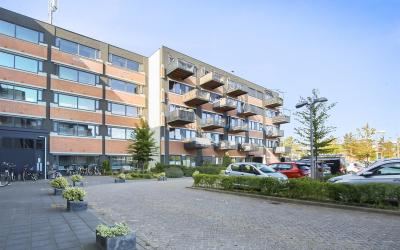 Zandsteen 118