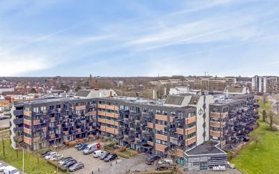Zandsteen 131