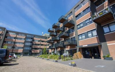 Zandsteen 17