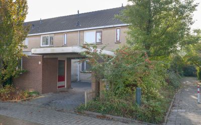 Schoener 25