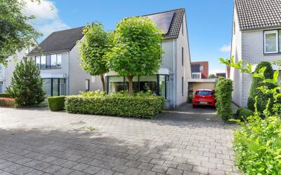 Barnsteen 52