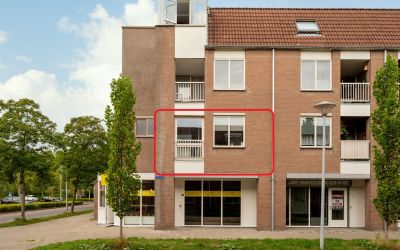 Reiger 18