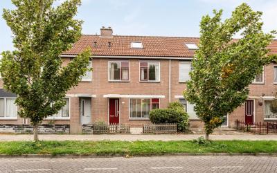 Reiger 33