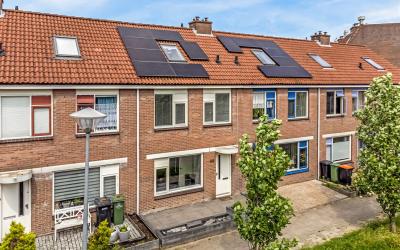 Reiger 46