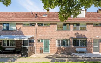 Acacia 9