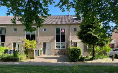 Dubloen 55