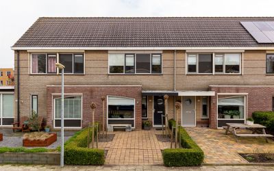 Meerval 16