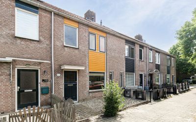 Butterwoud 151