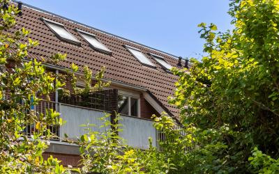 Kosterstuin 95