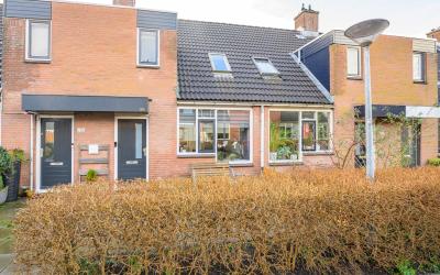 Boterbloem 104