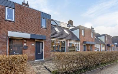 Boterbloem 110
