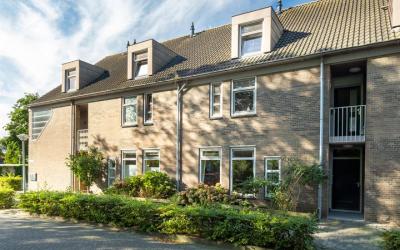 Paardebloem 103