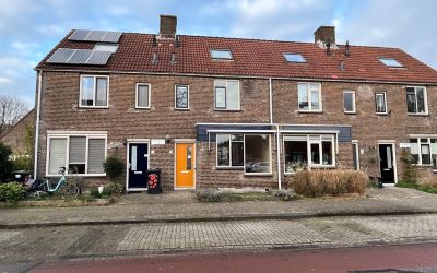 Korenbloem 2