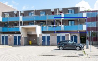 Korenbloem 52