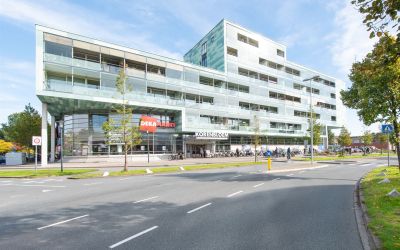Korenbloem 87
