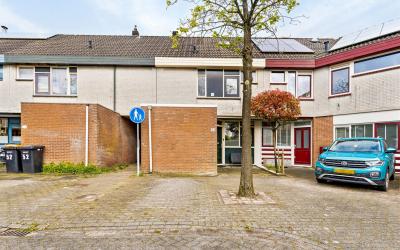 Distel 53